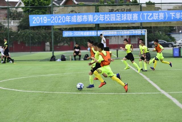 刘邓与陈粟、林罗组合的指挥差异与深层含义探讨
